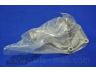 PARTS-MALL PHA-025 vandens siurblys 
 Aušinimo sistema -> Vandens siurblys/tarpiklis -> Vandens siurblys
2510033001, 2510033011, 2510033012