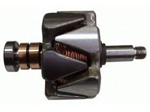 DELCO REMY 19025867 rotorius, kintamosios srovės generatorius