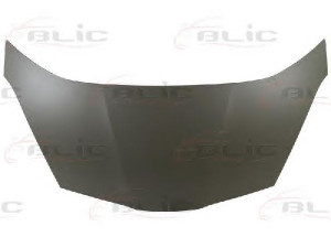 BLIC 6803-00-2901281P gaubtas 
 Kėbulas -> Transporto priemonės galas -> Gaubtas/dalys/garso izoliacinė medžiaga
60100-TF0-G00ZZ