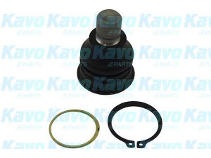 KAVO PARTS SBJ-6541 atramos/vairo trauklė 
 Ašies montavimas/vairavimo mechanizmas/ratai -> Sujungimai -> Atramos/vairo trauklė
40160ED00A, 40160EE500, 40160EE530