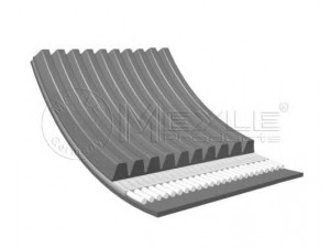 MEYLE 050 010 1688 V formos rumbuoti diržai 
 Techninės priežiūros dalys -> Techninės priežiūros intervalai
51.96820.0325, 20430387, 981390