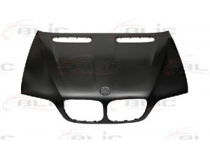 BLIC 6803-00-0095281P gaubtas 
 Kėbulas -> Transporto priemonės galas -> Gaubtas/dalys/garso izoliacinė medžiaga