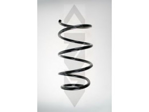 SPIDAN 56944 spyruoklė 
 Pakaba -> Spyruoklės
31 33 6 766 840