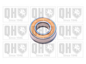 QUINTON HAZELL XB9923 guolis