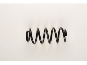BILSTEIN 37-147822 spyruoklė 
 Pakaba -> Spyruoklės
8E0 411 105 BF