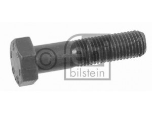 FEBI BILSTEIN 01634 varžtas
0 960 012189, 00 960 012189, 000 960 012189