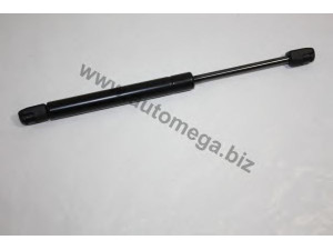 AUTOMEGA 3182705506K5C dujinė spyruoklė, bagažinė
6K5827550C, 6K5827550C, 6K5827550C