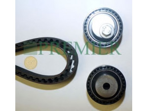 BRT Bearings PBTK145 paskirstymo diržo komplektas
083174, 0831S2