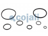 COJALI 6014610 remonto komplektas, greitinimo vožtuvas
