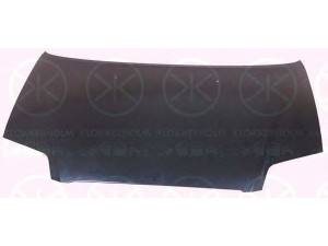 KLOKKERHOLM 1119280A1 gaubtas 
 Kėbulas -> Transporto priemonės priekis -> Gaubtas/dalys/garso izoliacinė medžiaga
96297541, 96540894, 96940973