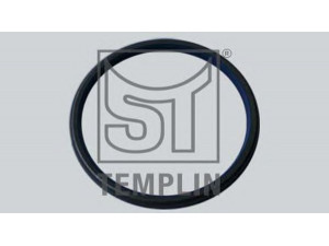 ST-TEMPLIN 11.060.1029.020 veleno alyvos sandariklis
015 997 37 47, A0159973747