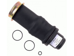SACHS 481 002 gofruotoji membrana, vairuotojo kabinos pakaba
1348121