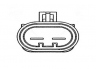ventiliatorius, radiatoriaus
