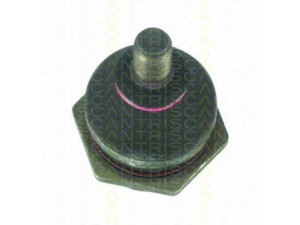 TRISCAN 8500 17107 atramos/vairo trauklė 
 Ašies montavimas/vairavimo mechanizmas/ratai -> Sujungimai -> Atramos/vairo trauklė
RBG000020, RBG000020SLP, GSJ257