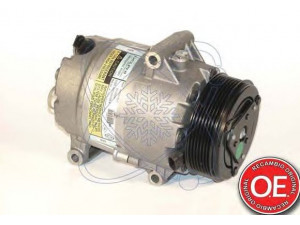 ELECTRO AUTO 20B0127 kompresorius, oro kondicionierius 
 Oro kondicionavimas -> Kompresorius/dalys
8200067915
