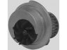 OPEN PARTS WAP8169.00 vandens siurblys 
 Aušinimo sistema -> Vandens siurblys/tarpiklis -> Vandens siurblys
09192797, 1334046, 1334066, 90444079