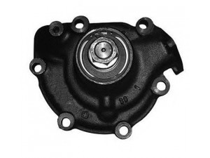 MAGNETI MARELLI 352316171024 vandens siurblys
1314406, 1354103