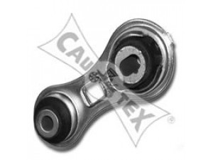 CAUTEX 020451 variklio montavimas 
 Variklis -> Variklio montavimas -> Variklio montavimo rėmas
11350BV000, 8200103263, 8200272424