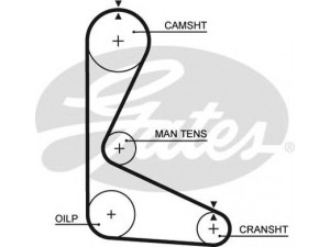 GATES 5103 paskirstymo diržas 
 Techninės priežiūros dalys -> Papildomas remontas
4367051, 4367051, 4367051, 4367051
