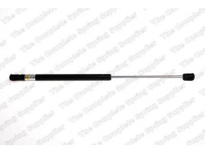 ROC GS0707 dujinė spyruoklė, bagažinė 
 Priedai -> Bagažinė/pakrovimo skyrius
46744596