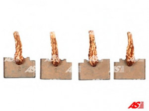 AS-PL BSX206-207 anglies šepetėlis, starteris