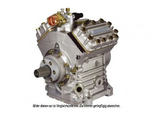 AKS DASIS 851527N kompresorius, oro kondicionierius 
 Oro kondicionavimas -> Kompresorius/dalys
81779706031, 0028302660, A0028302660