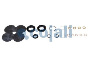 COJALI 6014118 remonto komplektas