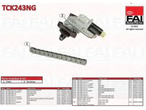 FAI AutoParts TCK243NG pavaros grandinės komplektas 
 Variklis -> Variklio uždegimo laiko reguliavimo kontrolė -> Sinchronizavimo grandinė/įtempiklis/kreiptuvas -> Pavaros grandinės komplektas