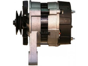 HC-PARTS CA307IR kintamosios srovės generatorius 
 Elektros įranga -> Kint. sr. generatorius/dalys -> Kintamosios srovės generatorius
4451759, 4456152, 4458618, 46231655