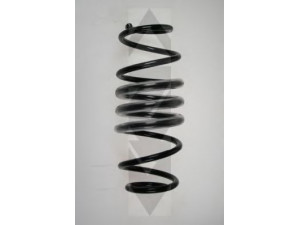 SPIDAN 56816 spyruoklė 
 Pakaba -> Spyruoklės
454 324 0904