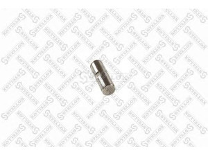 STELLOX 85-06011-SX stabdžių trinkelės varžtas 
 Stabdžių sistema -> Būgninis stabdys -> Dalys/priedai
0096242, 0290377