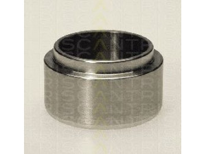 TRISCAN 8170 234819 stūmoklis, stabdžių apkaba