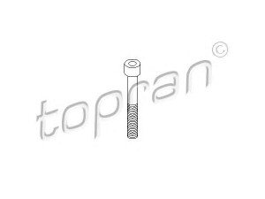 TOPRAN 110 707 varžtas, stabdžių apkaba 
 Stabdžių sistema -> Stabdžių matuoklis -> Stabdžių dalys
N   044 755 3, N   044 755 3, N   044 755 3