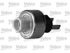 VALEO 509673 slėgio jungiklis, oro kondicionavimas 
 Oro kondicionavimas -> Jungiklis
5963616, 5963616, 12595195