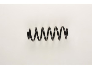 BILSTEIN 36-199549 spyruoklė 
 Pakaba -> Spyruoklės
1K0 511 115 FK