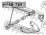 FEBEST HYAB-TER1 valdymo svirties/išilginių svirčių įvorė
54430-H1100