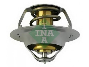 INA 538 0002 20 termostatas, aušinimo skystis