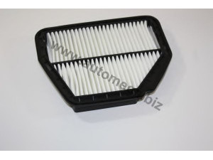 AUTOMEGA 1048020876 oro filtras
4802876, 4802876, 22745824, 4802876