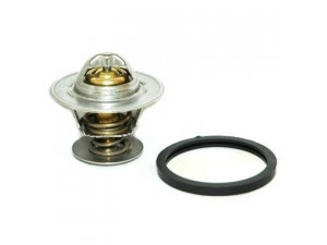 HOFFER 8192193 termostatas, aušinimo skystis 
 Aušinimo sistema -> Termostatas/tarpiklis -> Thermostat
SE021032221B