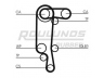 ROULUNDS RUBBER RR1156(SET) paskirstymo diržas 
 Techninės priežiūros dalys -> Papildomas remontas
036109119AC, 036109119AG, 036109119AC