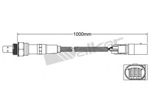 WALKER PRODUCTS 800-95018 lambda jutiklis 
 Variklis -> Variklio elektra
03G 906 262 M, 8 554 19, 55574474