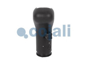 COJALI 2880182 pavarų svirties galvelė
81970106013