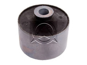 SIDEM 809309 stebulės laikiklio įvorė 
 Ašies montavimas/vairavimo mechanizmas/ratai -> Ašies atrama/ašies korpusas/ašies montavimas -> Pasukamojo veleno sujungimas
55466 00QAA, 44 12 907, 44 17 121