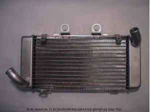 AKS DASIS 500240N radiatorius, variklio aušinimas
