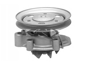 SPIDAN 91094 vandens siurblys 
 Aušinimo sistema -> Vandens siurblys/tarpiklis -> Vandens siurblys
19110689325, 19110689335