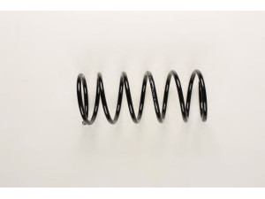 BILSTEIN 36-164165 spyruoklė 
 Pakaba -> Spyruoklės
96290477, 96391477