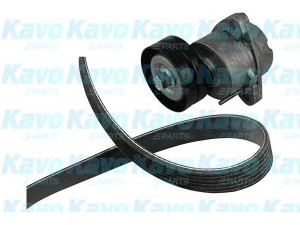 KAVO PARTS DKM-1003 V formos diržas, komplektas 
 Techninės priežiūros dalys -> Techninės priežiūros intervalai