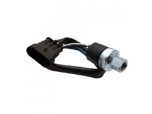 SIDAT 5.2011 slėgio jungiklis, oro kondicionavimas 
 Oro kondicionavimas -> Jungiklis
5893695, 5895585, 82432905, 82475806