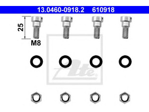 ATE 13.0460-0918.2 priedų komplektas, diskinių stabdžių trinkelės 
 Stabdžių sistema -> Diskinis stabdys -> Stabdžių dalys/priedai
631 420 00 82