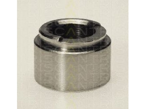 TRISCAN 8170 234404 stūmoklis, stabdžių apkaba